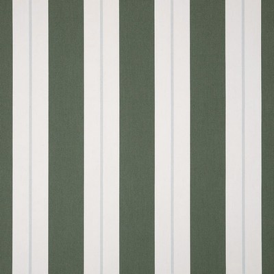 Silver State 57017 Relate 02 Ivy